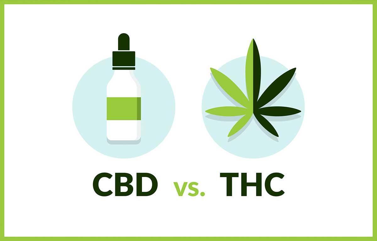 cbd-vs-thc